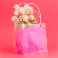 Пакет подарочный ПП, прозрачный 23 х 18 х  24 см