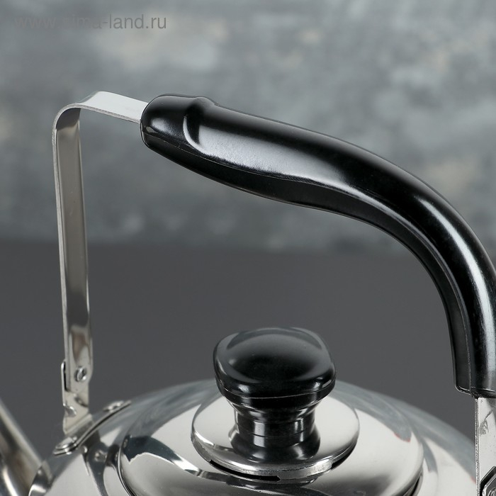 Чайник из нержавеющей стали &laquo;Чайковский&raquo;, 3 л, цвет хромированный