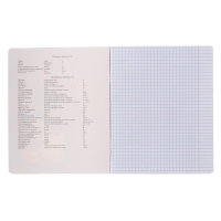 Тетрадь предметная "Пёс и Кот" 48 листов в клетку "Физика", обложка мелованный картон, металлизированная краска, ВД-лак, блок офсет