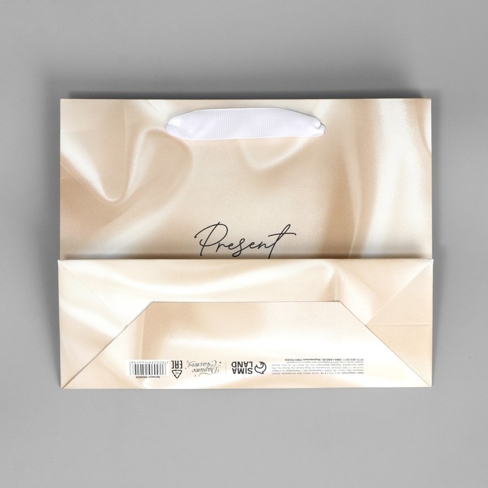 Пакет подарочный, упаковка, &laquo;Present&raquo;, 22 х 17.5 х 8 см