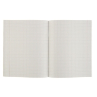 Комплект тетрадей из 5 штук (4 разные + 1 повторяющаяся), 48 листов в клетку Calligrata "Орнамент", обложка мелованная бумага, блок №2, белизна 75% (серые листы)