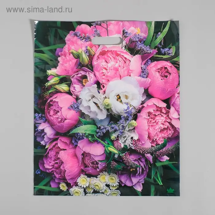 Пакет &laquo;Пионы&raquo;, полиэтиленовый с вырубной ручкой, 38&times;45 см, 60 мкм