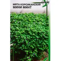 Семена цветов Мята Корсиканская Мини Минт 5 шт