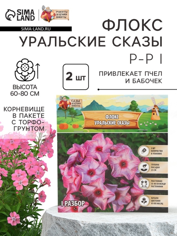 Флокс &laquo;Уральские сказы&raquo; корневище в пакете с торфогрунтом, р-р I, 2 шт.