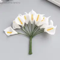 Декор для творчества "Белые каллы" (набор-букет 12 цветков) 10 см