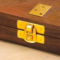 Настольная игра "Домино" 18,5х7,5х4 см, дерево шишам, латунь