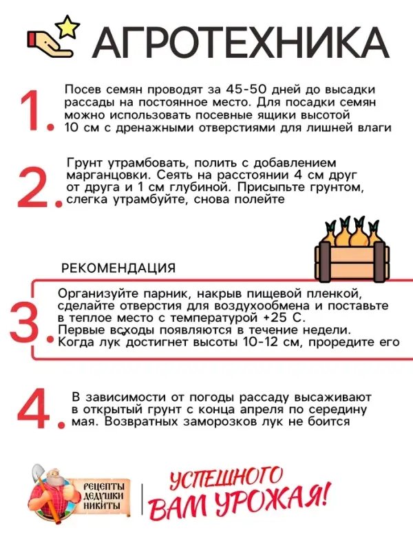 Семена Лук репчатый "Халцедон", 0,5 г