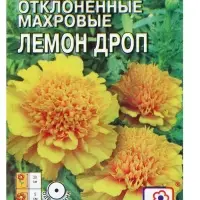 Семена цветов Бархатцы отклоненные  "Лемон Дроп", махровые,  0,2 г