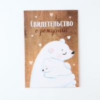 Папка для свидетельства о рождении "Мама и малыш", медведи, 23 х 17 см