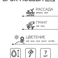 Семена  Петуния мини "Малыш" F1 многоцветковая,смесь окрасок, 7 шт
