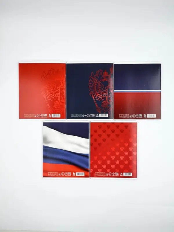 Тетради в клетку, 48 л., набор из 5 шт., блок №1 &laquo;Патриотизм&raquo; матовая ламинация, тиснение