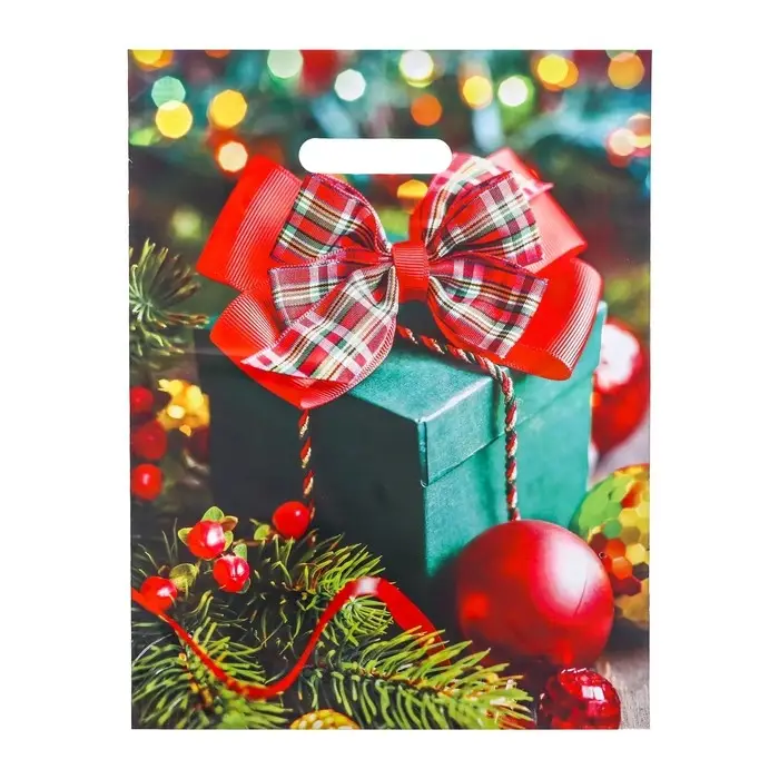 Пакет "Зеленый подарок", глянец полиэтиленовый с вырубной ручкой, 31х40 см, 60 мкм