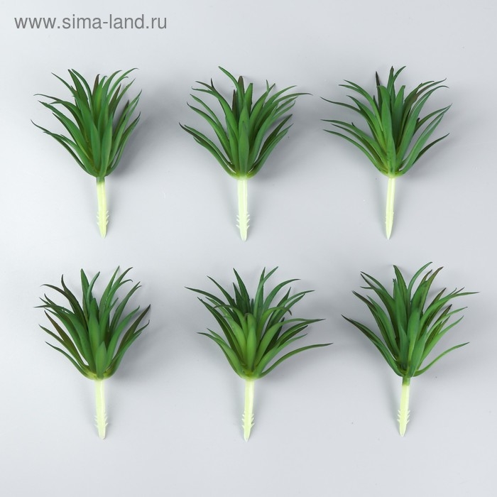 Искусственный суккулент для создания флорариума "Гастерия трехгранная" 7 см