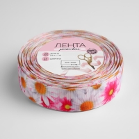 Лента репсовая &laquo;Ромашки&raquo;, 25 мм, 18 &plusmn; 1 м, разноцветная
