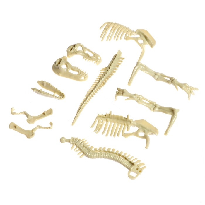 Набор для опытов &laquo;Время динозавров&raquo;, тиранозавр, в пакете