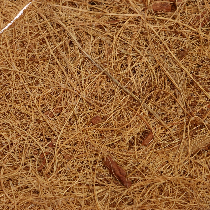 Круг приствольный, d = 0,2 м, из кокосового полотна, Greengo