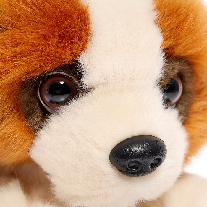 Мягкая игрушка &laquo;Собака сенбернар лежачий&raquo;, 20 см