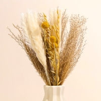 Сухоцветы &laquo;Сказка&raquo;, набор из 4 видов, 48 &times; 16 &times; 6 см