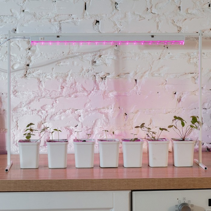 Фитосветильник светодиодный Uniel, 18 Вт, 560 мм, IP40, 230 В, спектр для рассады, с выкл.