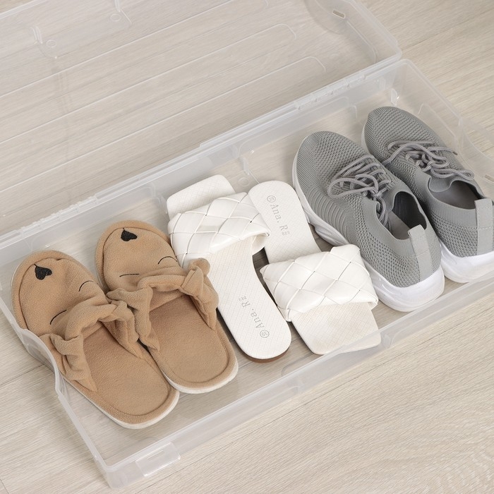 Короб для хранения обуви &laquo;Реноме&raquo;, 61&times;34&times;13 см, цвет прозрачный