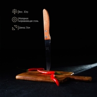 Нож кухонный Доляна &laquo;Эльбрус&raquo;, лезвие 11,5 см