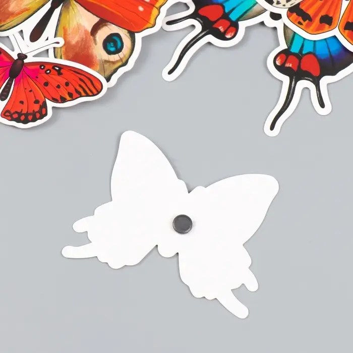 Набор магнитов на холодильник &laquo;Натуральные&raquo;, 12 шт., картон, h=4-10 см