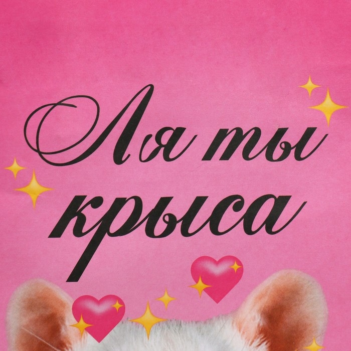 Пакет подарочный, упаковка, &laquo;Ля ты&raquo;, 22 х 22 х 11 см