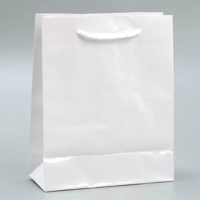 Пакет подарочный ламинированный, упаковка, &laquo;Белый&raquo;, S 12 х 15 х 5.5 см