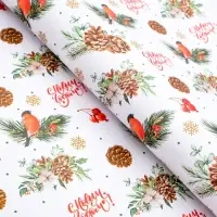 Бумага упаковочная глянцевая двусторонняя "Снегири", 70 х 100 см