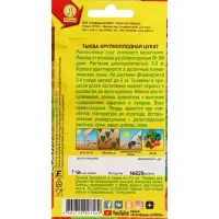 Набор семян Тыква крупноплодная "Цукат",  5 шт.