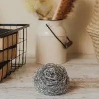 Губка для посуды металлическая Raccoon, спираль оцинкованная, 30 гр