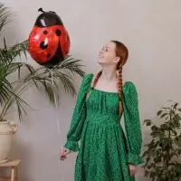 Воздушный шар фольгированный 24" &laquo;Божья коровка&raquo;