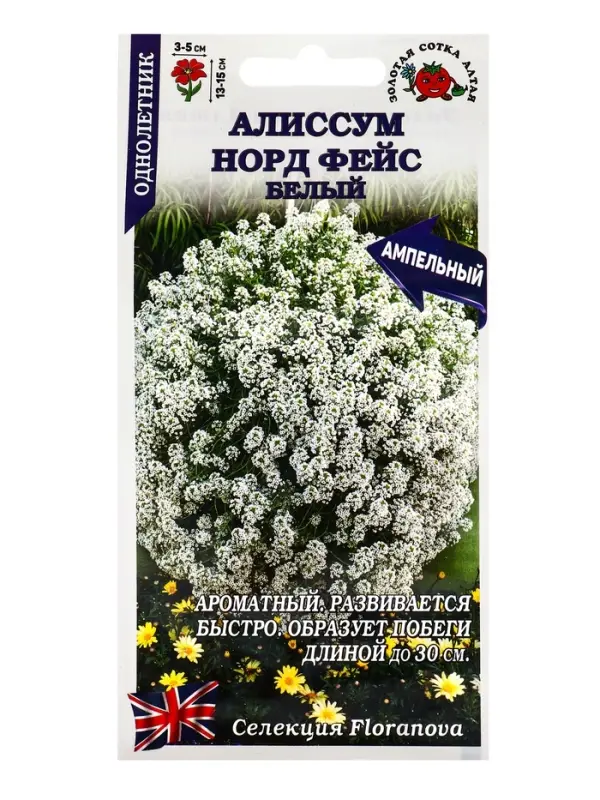Семена Алиссум Норд фейс белый /Сотка/ 0,01г/*1800