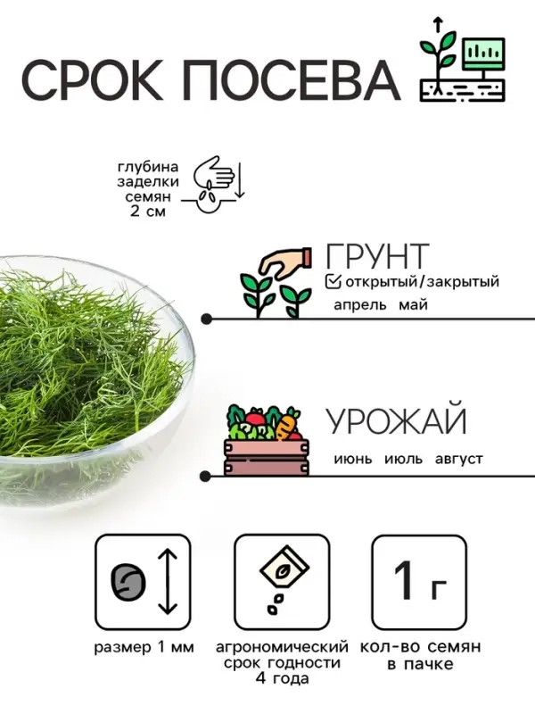 Семена Укроп "Кибрай", 1 г