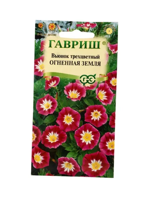 Семена цветов Вьюнок трехцветный Огненная земля 0,5 г