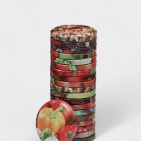 Набор крышек ТО-66 мм &laquo;Элитная&raquo;, металл, лак, цвет МИКС (1 упак.=20шт)