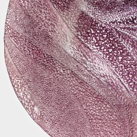 Салатник стеклянный &laquo;Драхна&raquo;, d=33 см, цвет бордовый