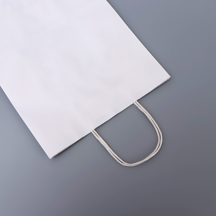 Пакет белый без печати, круглая ручка, 31 х 12 х 42 см, 120 г