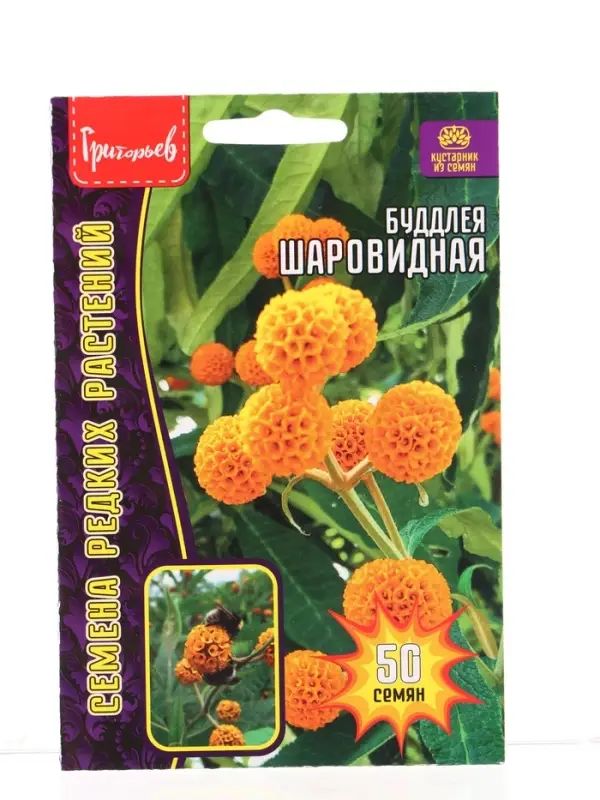 Семена цветов Буддлея Шаровидная   50шт. АКЦИЯ 12.28 г.