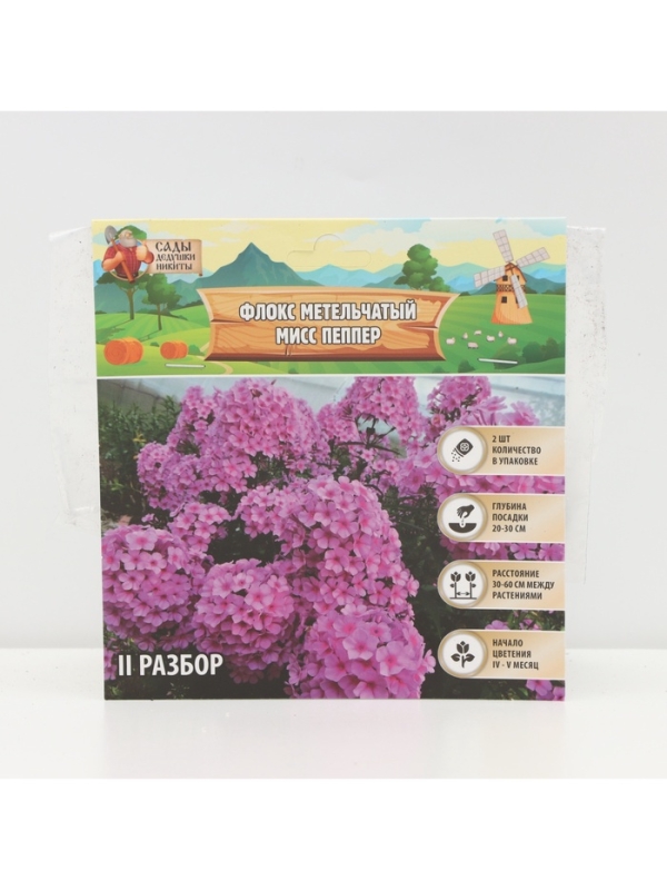 Флокс метельчтый Miss pepper корневище в пакете с торфогрунтом, р-р II, 2 шт.
