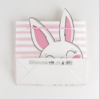 Пакет подарочный, упаковка, &laquo;Best day&raquo;, 25 х 26 х 10 см