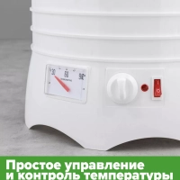 Сушилка для овощей и фруктов VL-FD521090