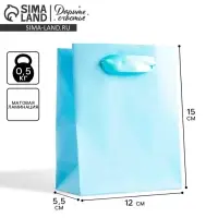 Пакет подарочный, упаковка &laquo;Голубой&raquo;, 12&times;15&times;5.5 см