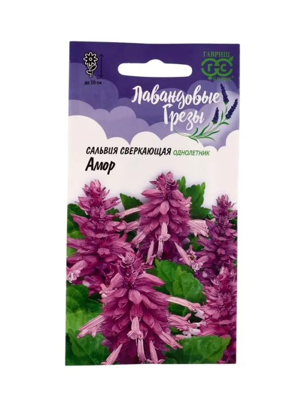 Семена цветов Сальвия Амор*  4 шт. серия Лавандовые грёзы