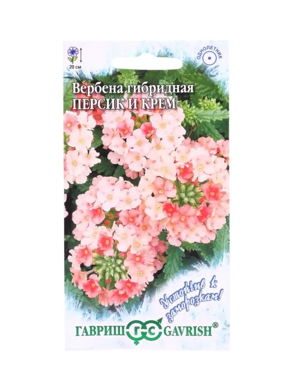 Семена цветов Вербена Персик и Крем, гибридная* 0,05 г серия Устойчив к заморозкам!