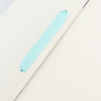 Пакет подарочный вертикальный "Покоряй вершины", 31 &times; 40 &times; 14 см