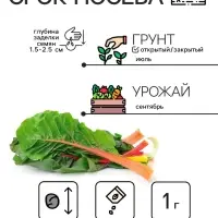 Семена Мангольд "Павлиний хвост", смесь, 1 г