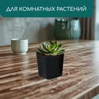 Горшок для рассады, 500 мл, d=8.5 см, h=10 см, пластик, чёрный, Greengo