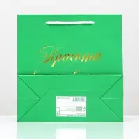 Пакет подарочный &laquo;Красота вдохновляет&raquo;, зелёный, с тиснением, 22.5&times;23&times;10 см