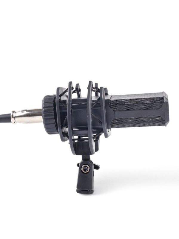 Микрофон конденсаторный Music Life LGT240: стойка + кабель в комплекте